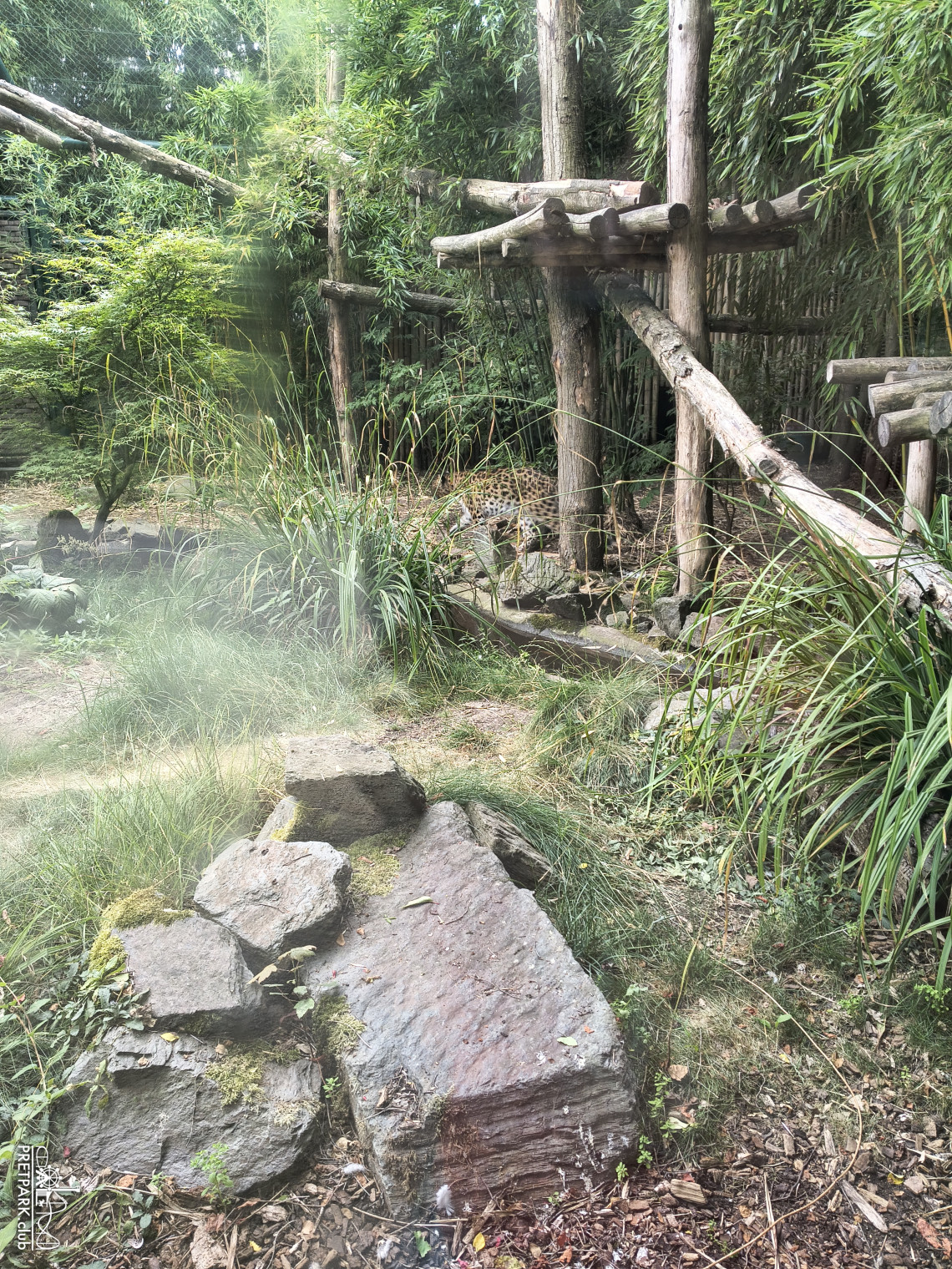 img-20260722-110139579-hdr.jpg