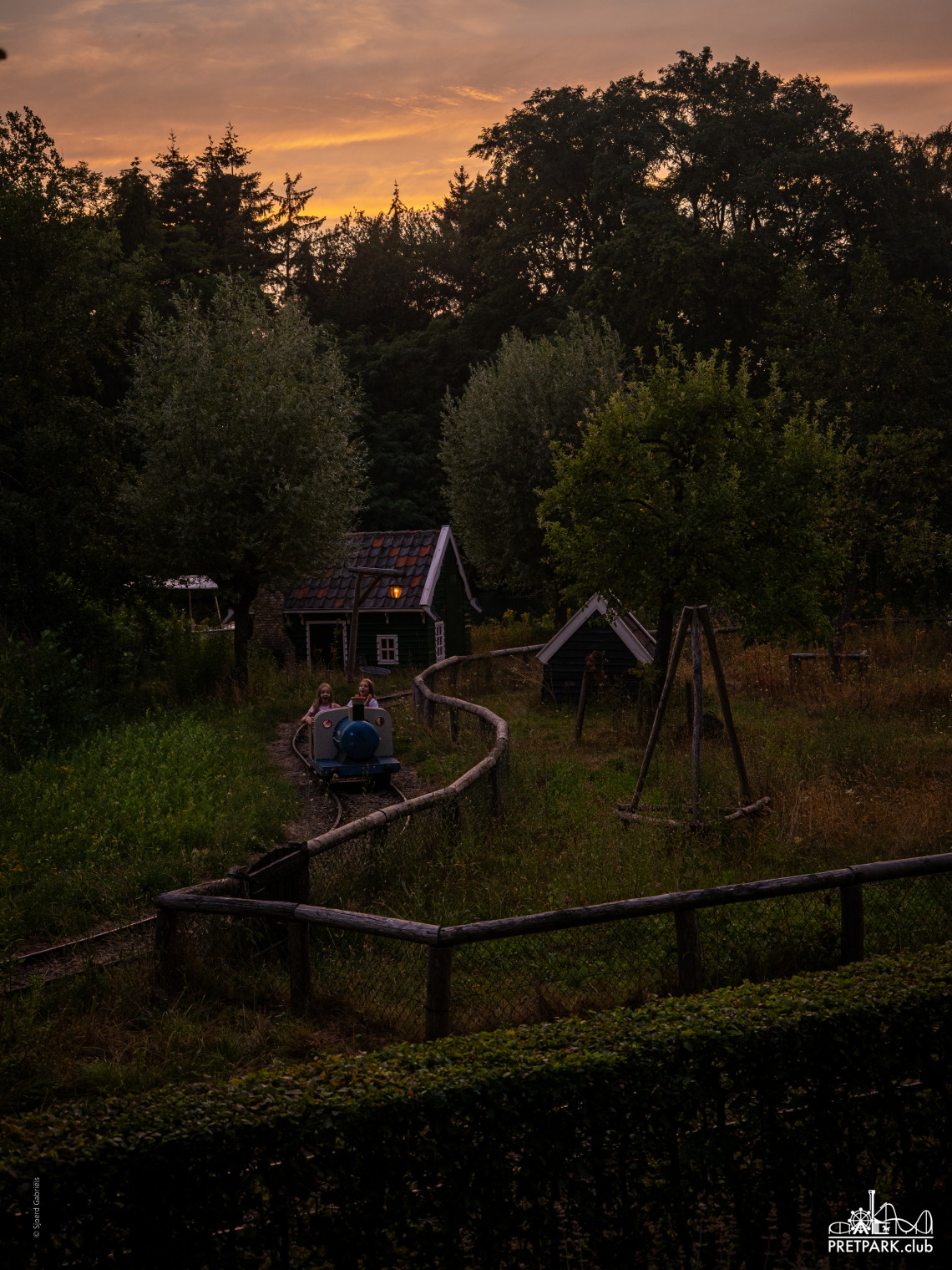 8155614.jpg